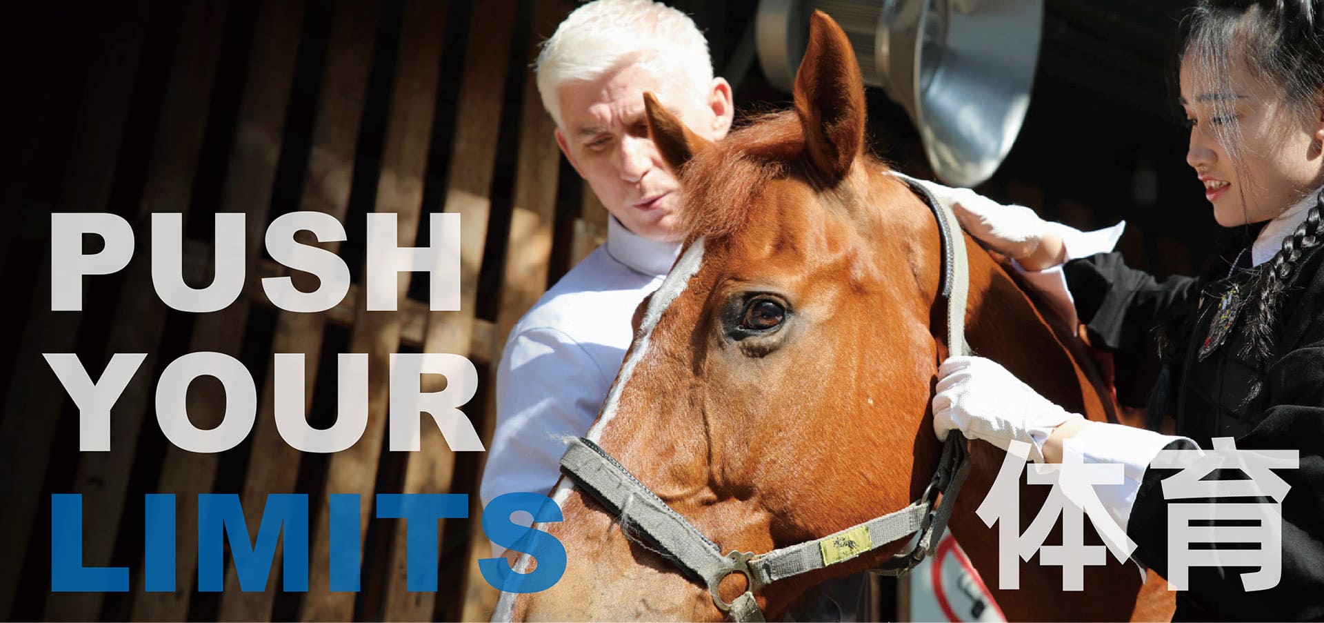 茂名創科賢才高級中學校園全景